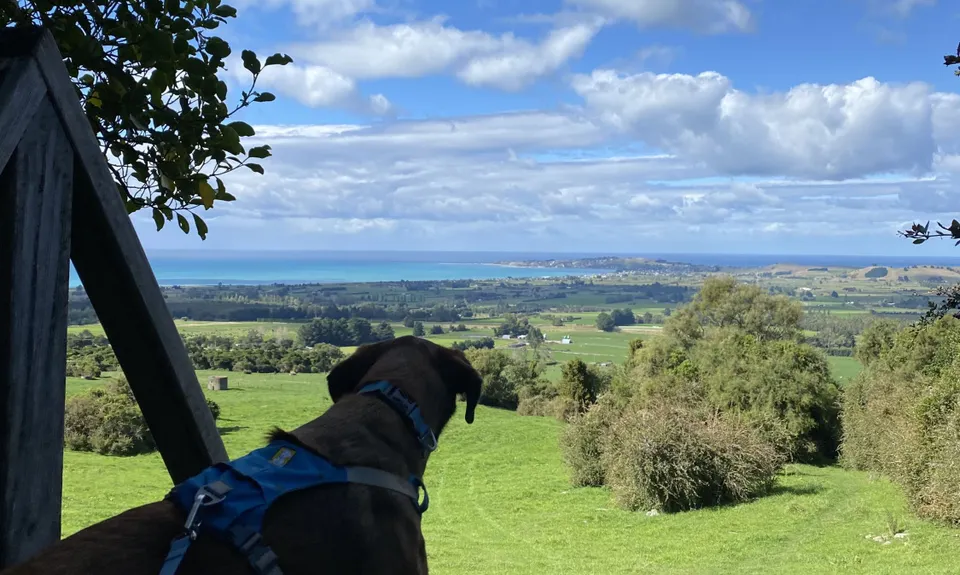Mt Fyffe Walkway, Canterbury