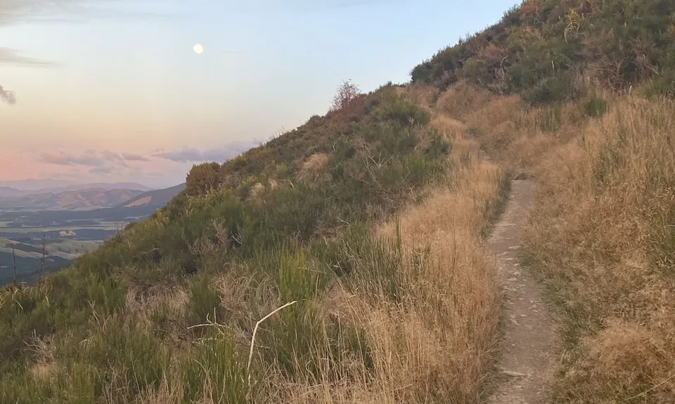 Mt Grey, Canterbury