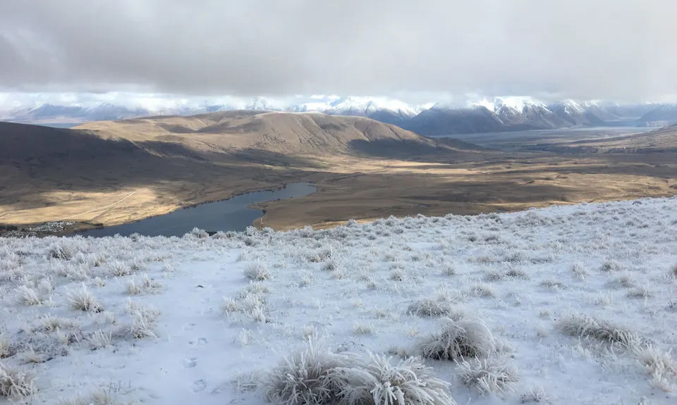 Mt Guy, Canterbury
