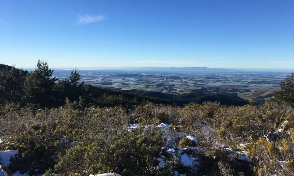 Mt Richardson Rippa, Canterbury