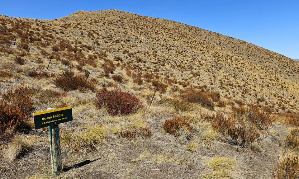 Mt Soho Marathon, Otago
