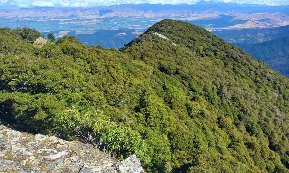 Mt Sunday - Mt Riley Loop, Marlborough