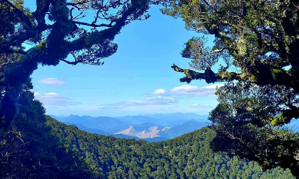 Mt Sunday - Mt Riley Loop, Marlborough