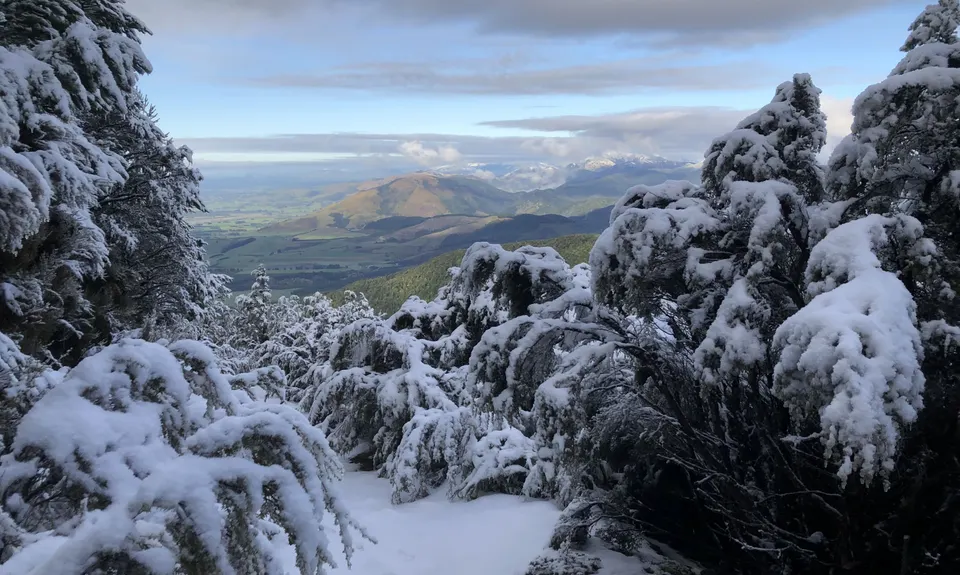 Mt Thomas Direct!, Canterbury
