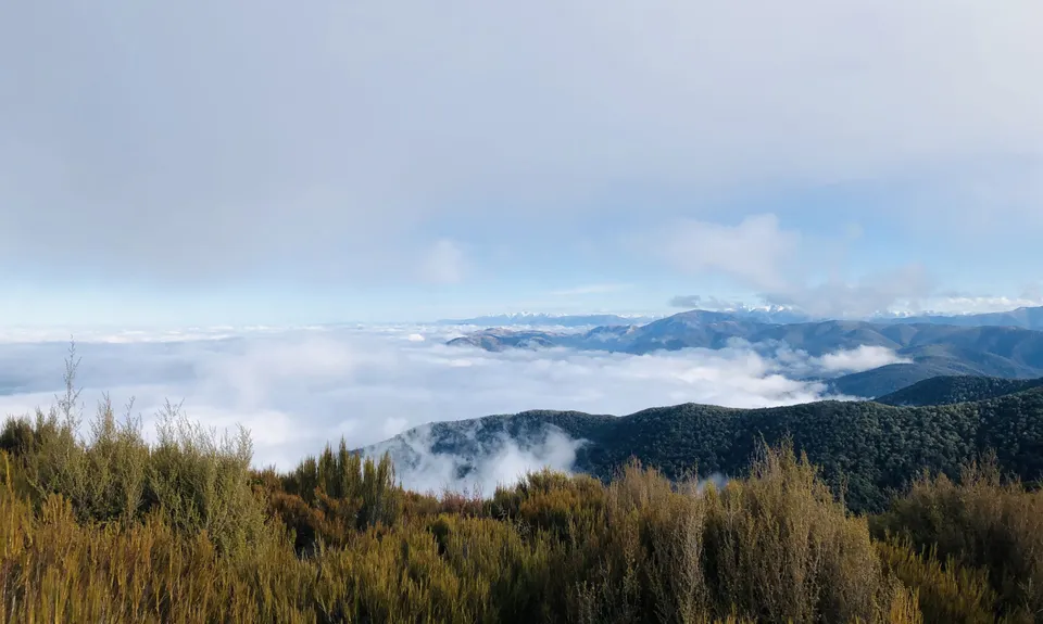 Mt Thomas Long Loop, Canterbury