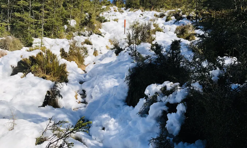 Mt Thomas Long Loop, Canterbury