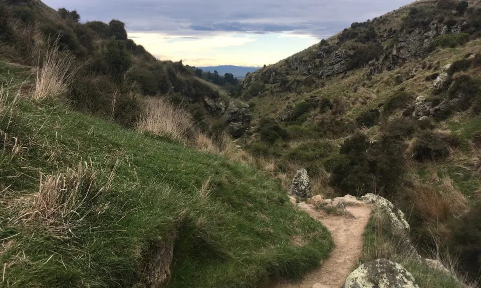Mt Vernon Farm Track , Canterbury