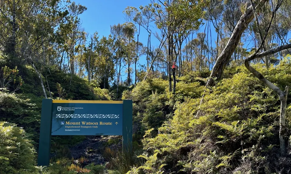Mt Watson Croesus Loop, West Coast