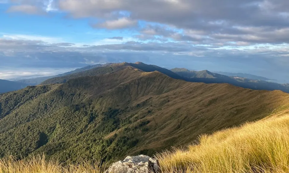 Mt Watson Croesus Loop, West Coast