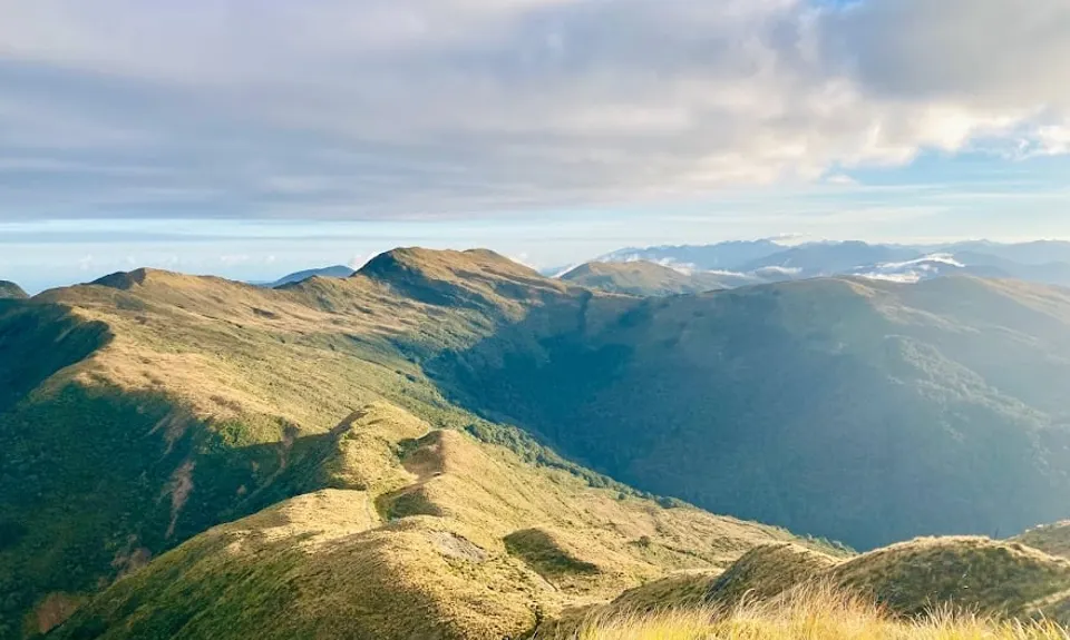 Mt Watson Croesus Loop, West Coast