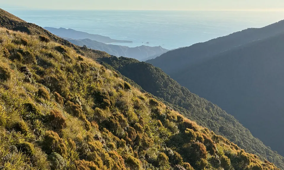 Mt Watson Croesus Loop, West Coast