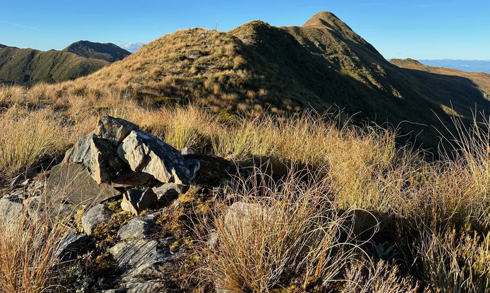 Mt Watson Croesus Loop, West Coast