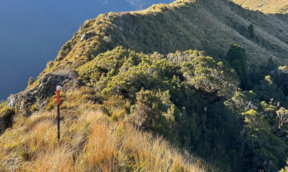 Mt Watson Croesus Loop, West Coast