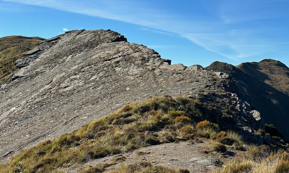 Mt Watson Croesus Loop, West Coast