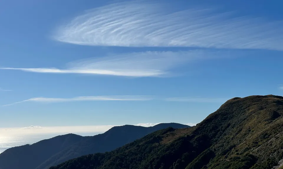Mt Watson Croesus Loop, West Coast