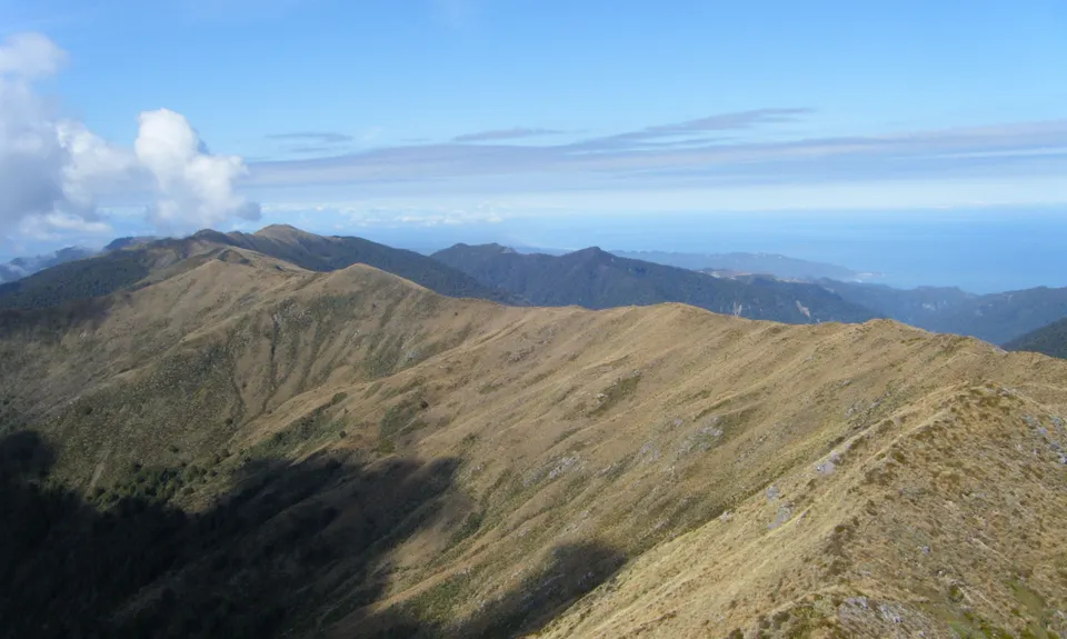 Mt Watson Croesus Loop, West Coast