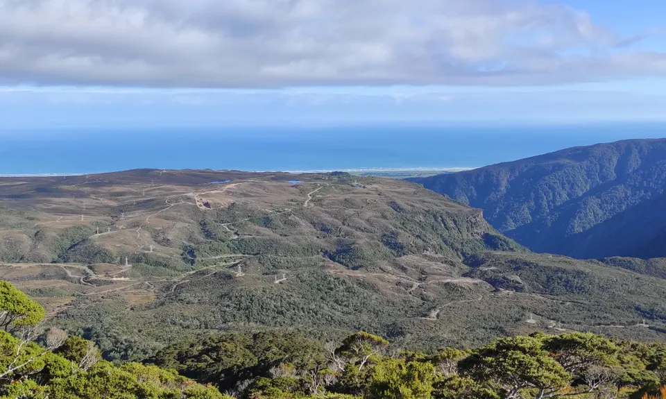Mt William Loop, West Coast