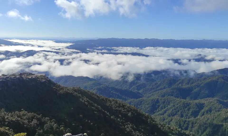 Mt William Loop, West Coast