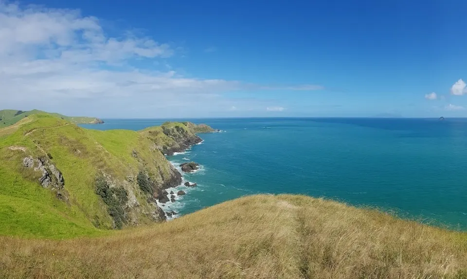 Port Jackson - Wharekaiatua Pa, Waikato
