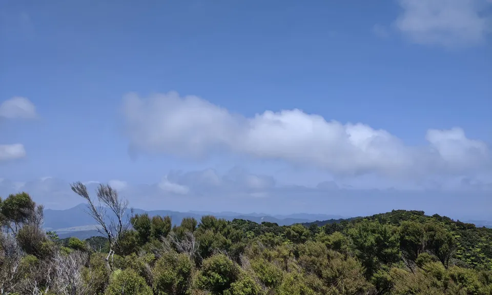 Burrill Blast, Auckland