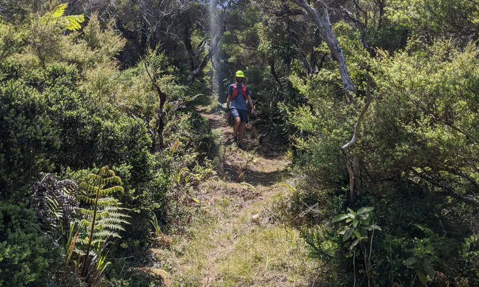 Burrill Blast, Auckland