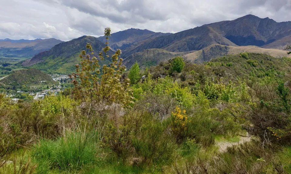 New Chums Loop, Otago