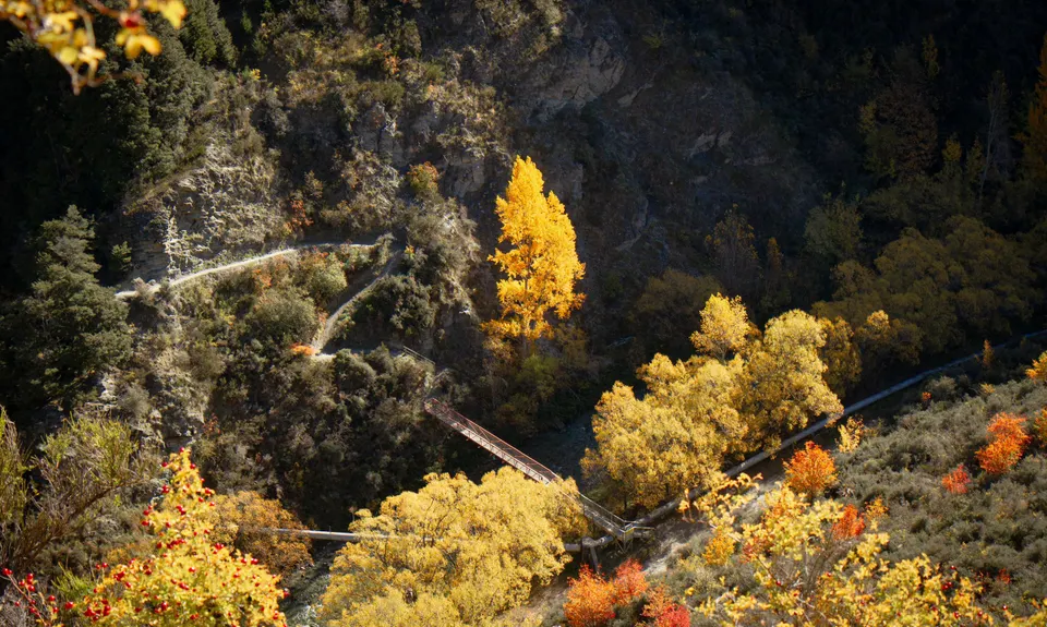 New Chums Loop, Otago
