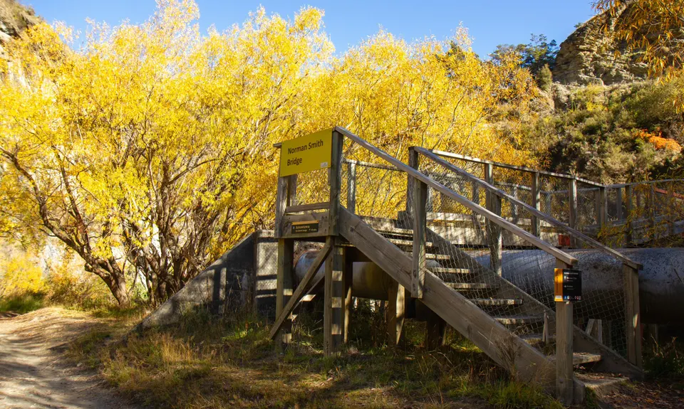 New Chums Loop, Otago