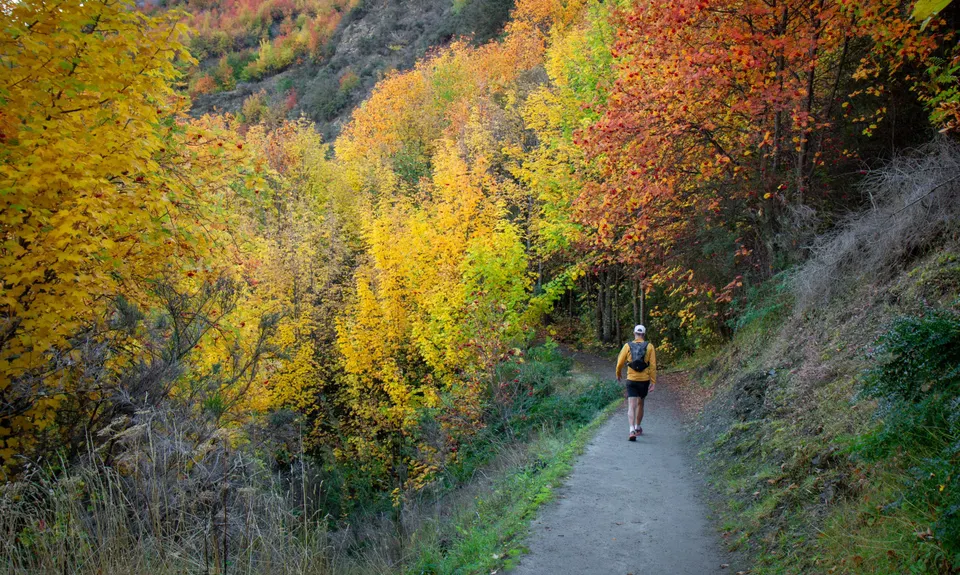 New Chums Loop, Otago