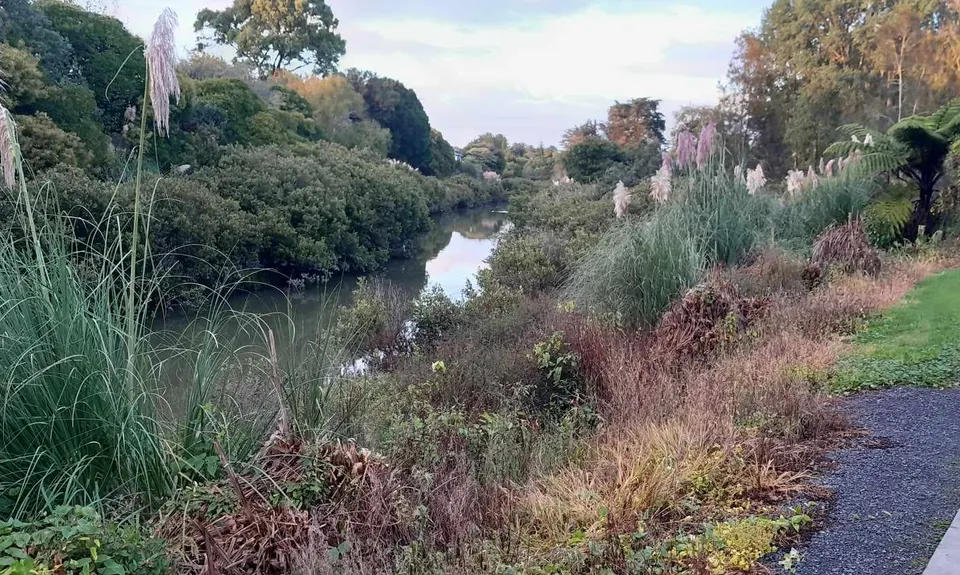 Ngāti Ōtara, Auckland