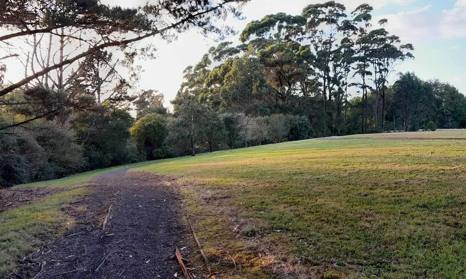 Ngāti Ōtara, Auckland