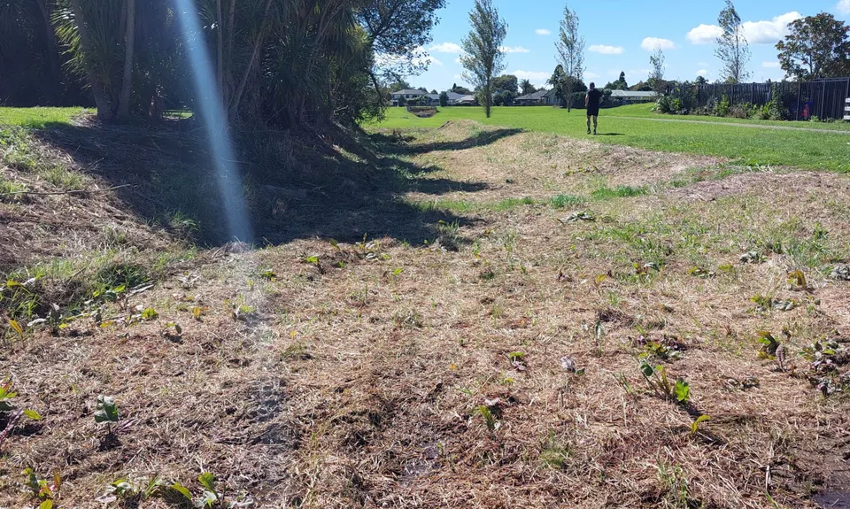 Nga Puke e Rima o Pukekohe, Auckland