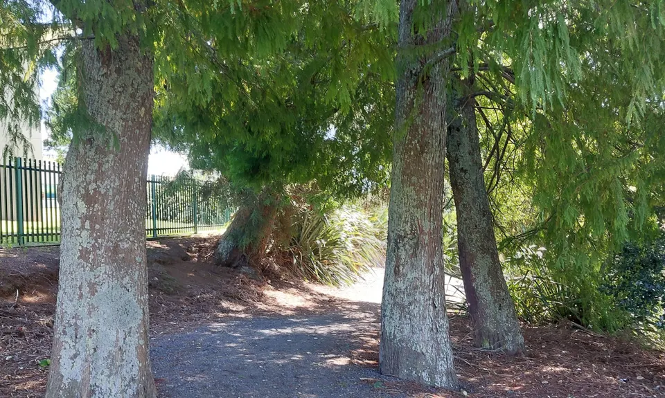 Nga Puke e Rima o Pukekohe, Auckland