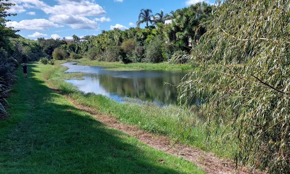 Nga Puke e Rima o Pukekohe, Auckland