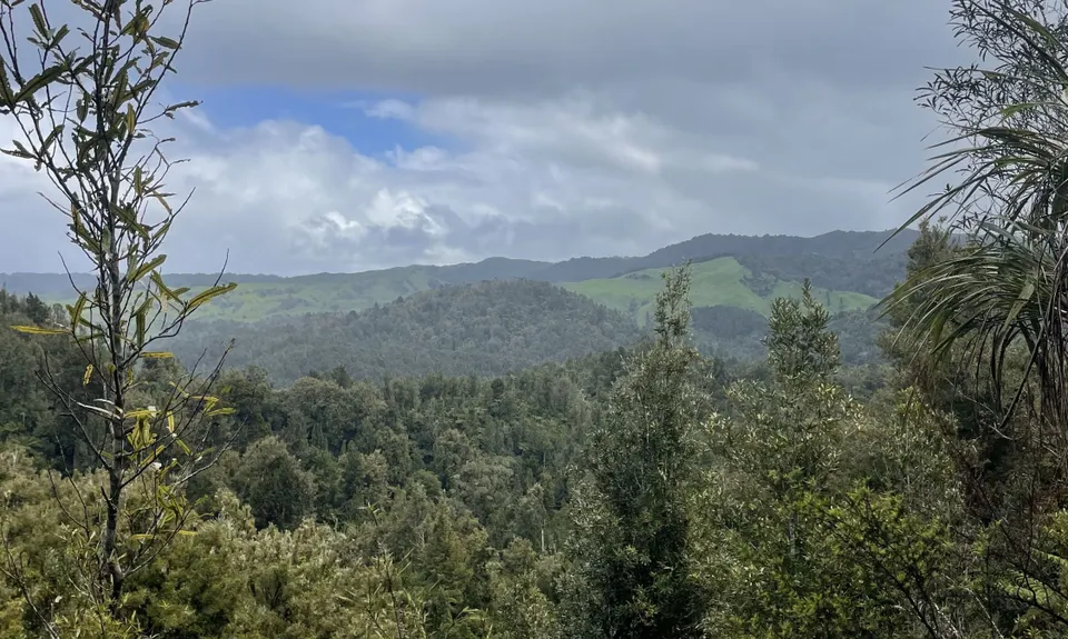 Ngatapuwae , Waikato