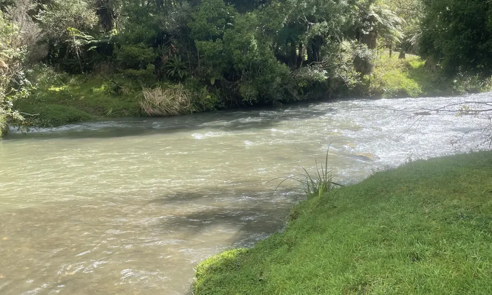 Ngatapuwae , Waikato