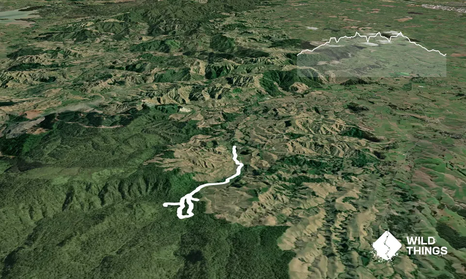 Nikau Loop & Kaniwhaniwha Caves, Waikato