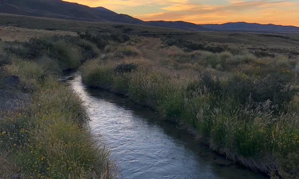 Hawkdun Range Hustle, Otago