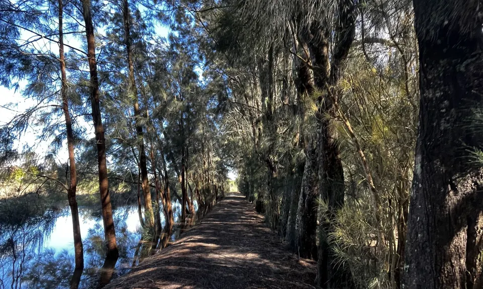 Nooks and crannies, Bay of Plenty