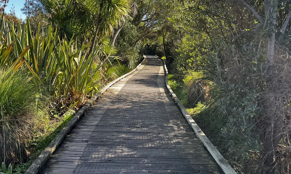 Nooks and crannies, Bay of Plenty