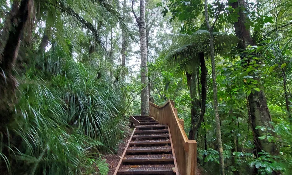 Northcote Multi Trail Loop, Auckland