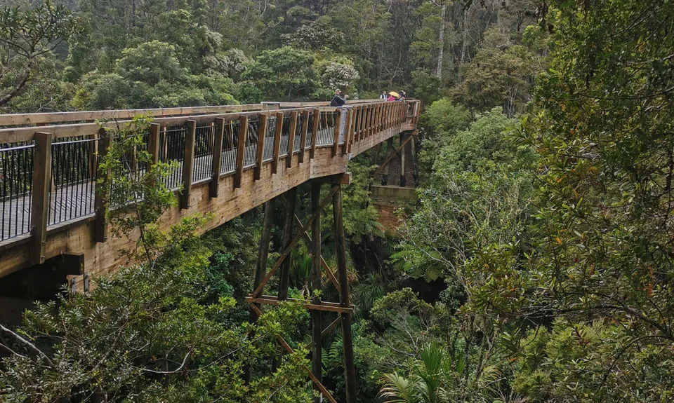 Northcote Trails, Auckland