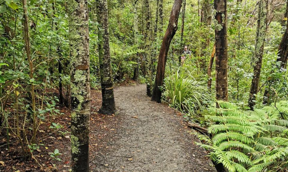 Northcote Trails, Auckland