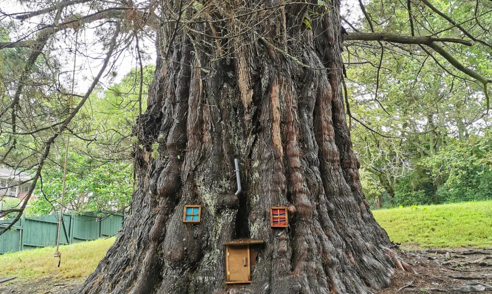 Northcote Trails, Auckland