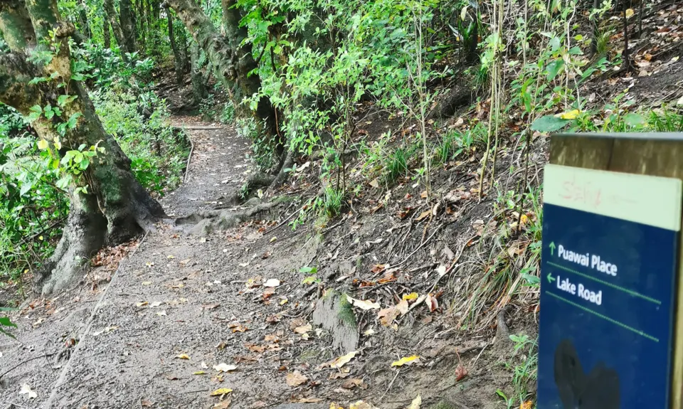 Northcote Trails, Auckland