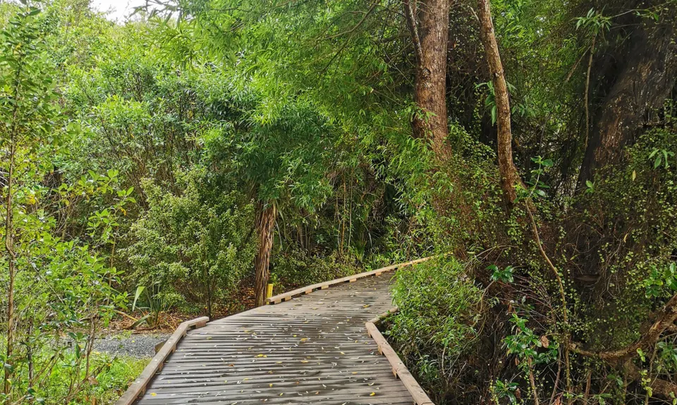 Northcote Trails, Auckland