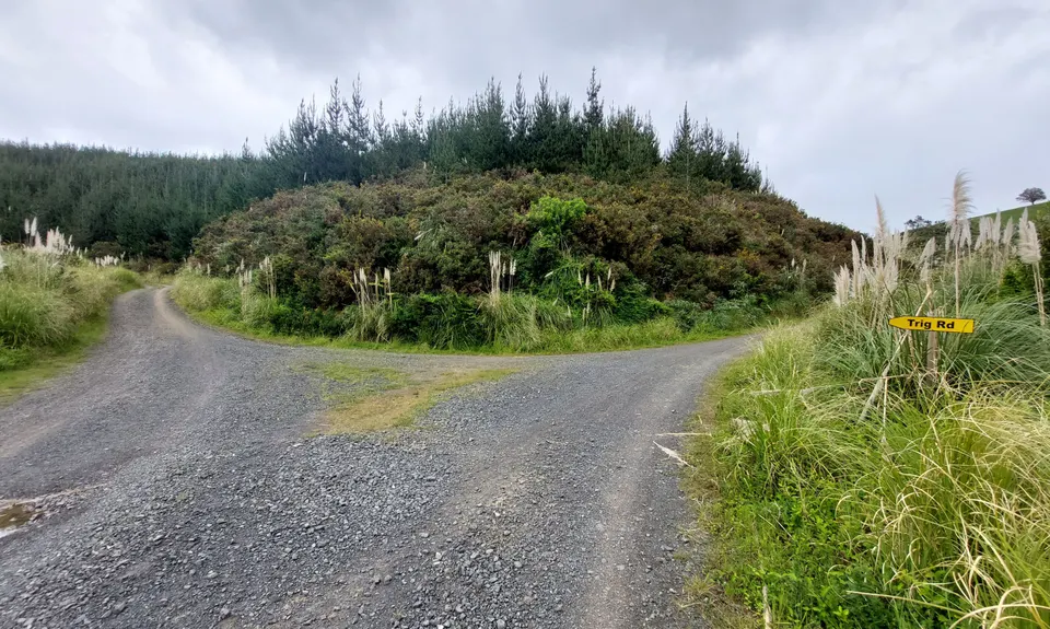 Not my left eye, it's Maraetai!, Auckland