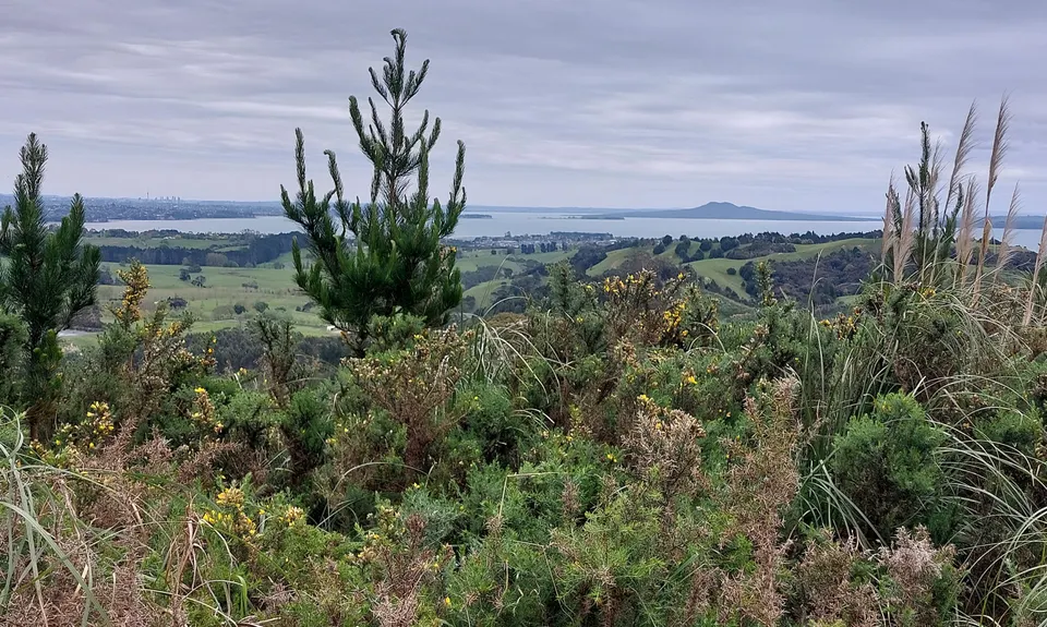 Not my left eye, it's Maraetai!, Auckland