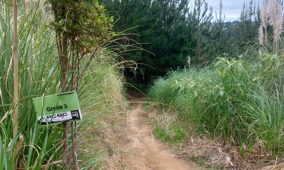 Not my left eye, it's Maraetai!, Auckland