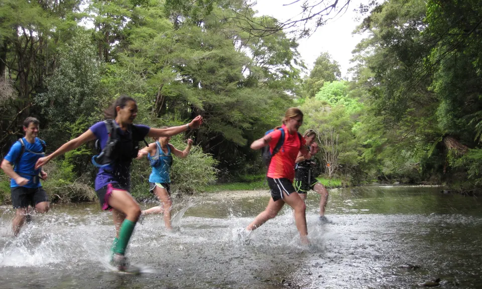 Nydia Track, Marlborough